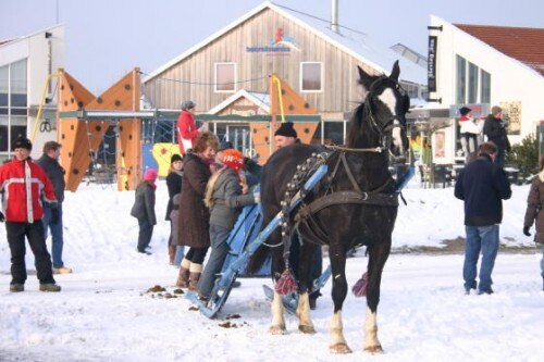 Ameland in winter