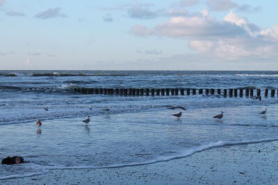1-2-15 voorjaar