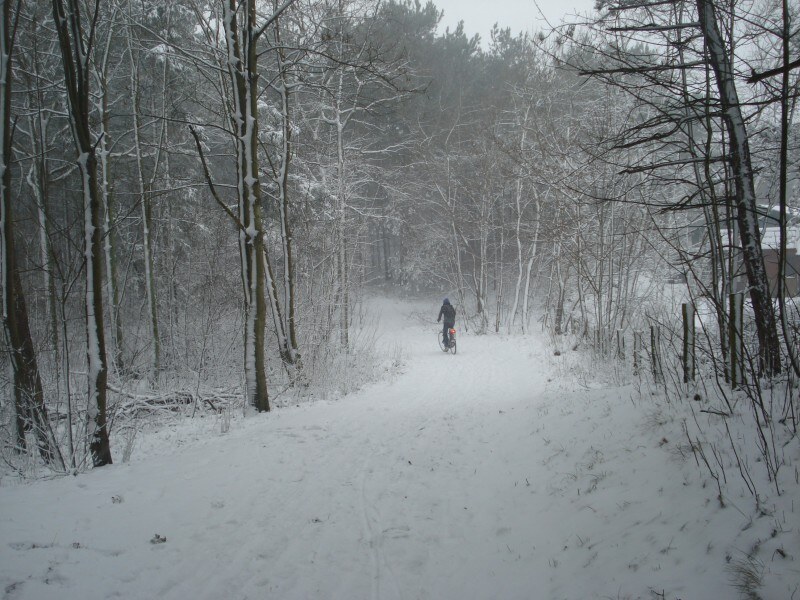 Eerste sneeuw