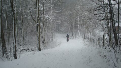 First snow