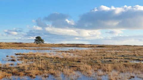 Ameland in januari 2021